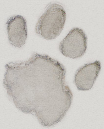 Paw Print